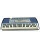 Casio Lk-110 Key Lighting Electronic Piano With Stand Musical Instrument Tested