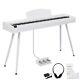 Free Shipping? Casio Privia Style Electric Piano / Keyboard With Headphones