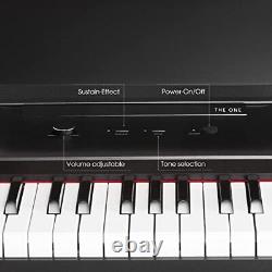 Keyboard Piano, 61 Key Piano Keyboard for Beginner/Professional, Electric Pia
