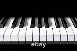 Piano Keys Keyboard Music Canvas Print Wall Art Home Decor Poster Picture