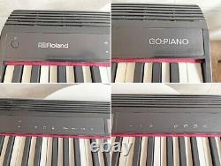 ROLAND GOPIANO GO-61P Keyboard 61 keys & Pedal Switch DP-2 SET