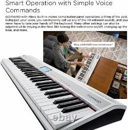 Roland GOPIANO 61-key Music Creation Keyboard with Alexa built-in Go-61P-A