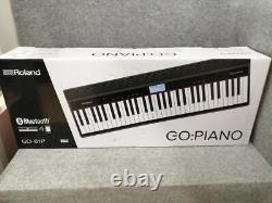 Roland GO-61P GOPiano Music Creation Digital Keyboard from Japan Good Condition