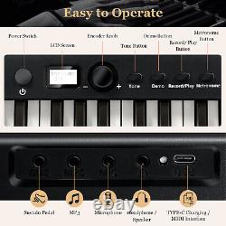 88 Clés Pliant Piano Électrique Lighted Full Size Portable Clavier MIDI Noir