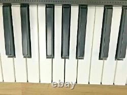 Casio Musical Clavier Piano 61 Clés Portable Electronic Digital Débutant Stand