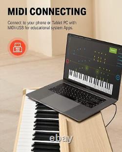 Offrir le clavier de piano numérique électrique DDP-80 à 88 touches avec action de marteau lestée