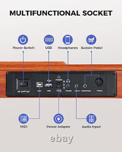 iano for Beginners/Adults with 3-Pedal Board, MIDI/Headphone/Audio Output Feature, for Teaching/Performance/Practice, for Home/Stage/Concert.